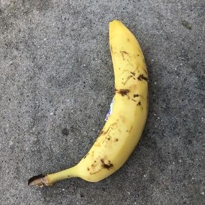 kind of brown but still cute